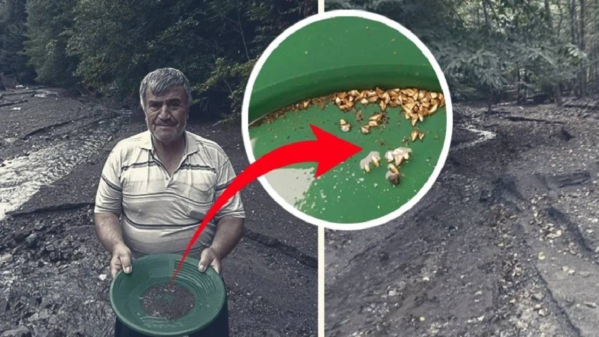 Derelerin altını üstüne getiriyor! 1 haftada 13 gram çıkarıyor! Her gün serveti derelerde arıyor