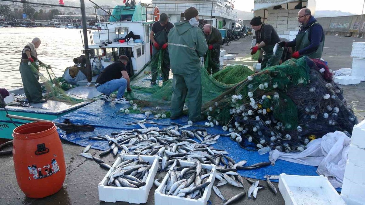 Karadeniz'de balık bolluğu: Son 30 yılın en bereketli sezonu