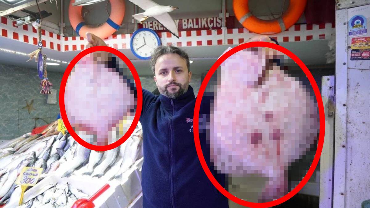 2 tane almak isteyen çeyrek altın bozacak! Kilosu 5 Bin 500 TL'yi buldu: O balık resmen altınla yarışıyor