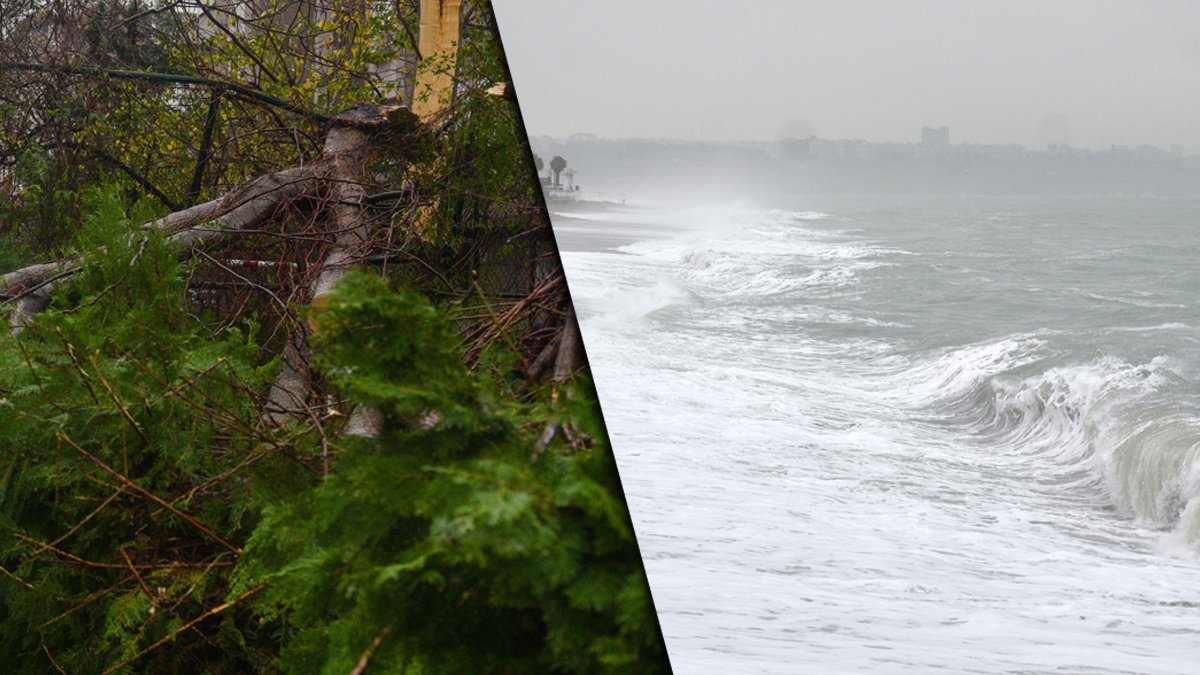 Antalya'da "turuncu kod" verildi: Dalgalar yürüyüş yoluna ulaştı, asırlık çınar devrildi