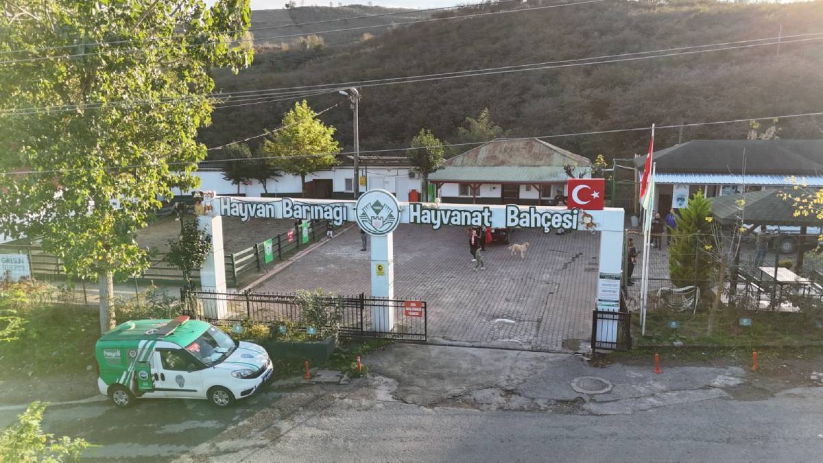 927 hayvanın tedavisi yapıldı, 288 hayvan sahiplendirildi