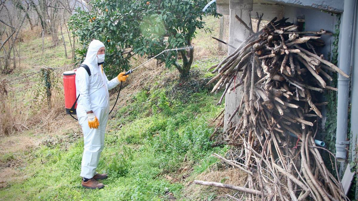 Belediye kokarca ile mücadeleye ilaçlama desteği veriyor