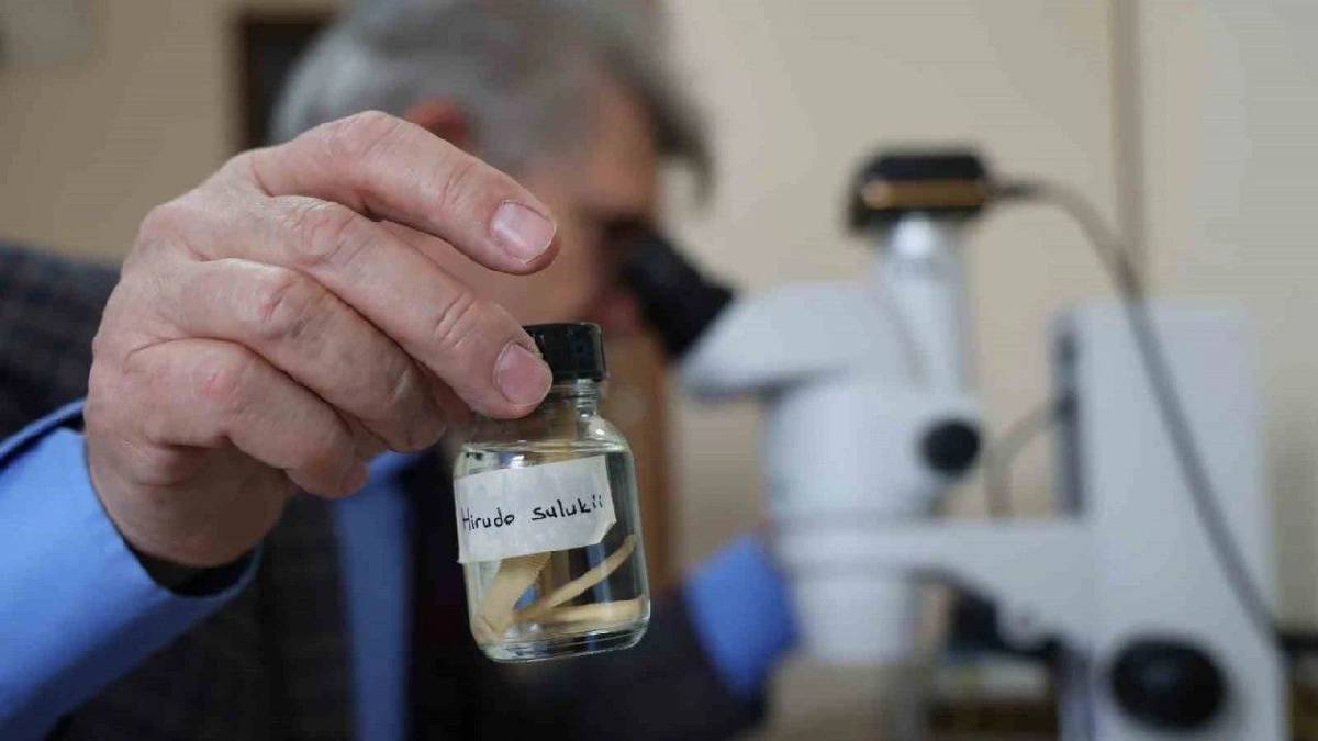 Sadece Güneydoğu Anadolu bölgesinde var! Hastalıklara şifa oluyor: O canlı Dünya literatürüne girdi