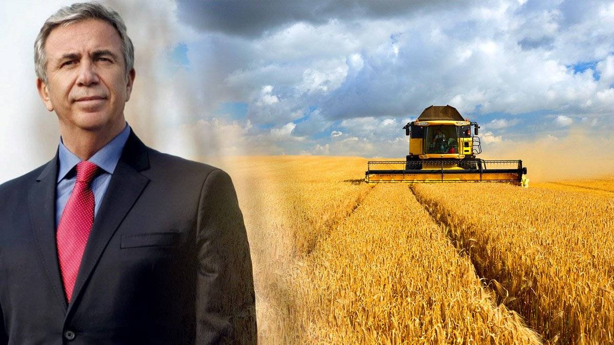 Mansur Başkan’dan çiftçiye %50 hibe desteği! O ilçede başladı: Başkentin tarım cenneti olacak