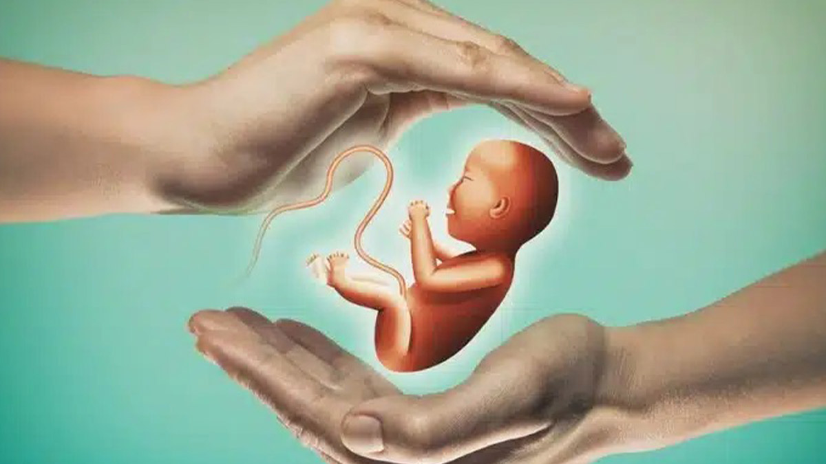 Yargıtay'dan emsal karar: Tüp bebek tedavisinde kullanılan ziynet eşyaları kadına iade edildi