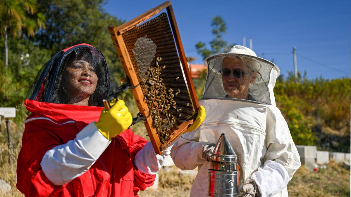 Bornova’da Arıcılık Kursu kayıtları başladı