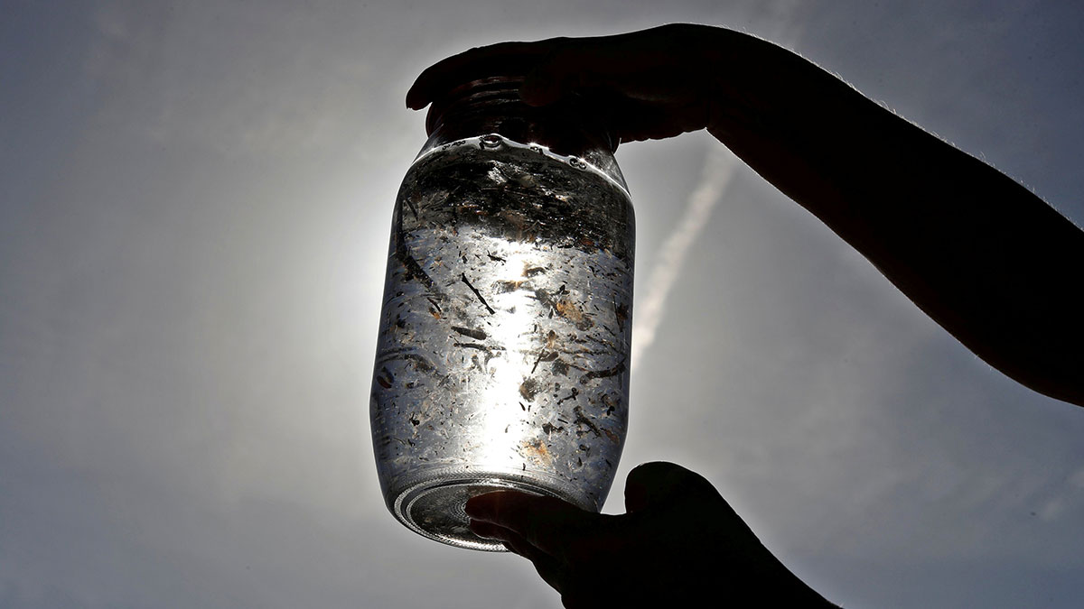 Kalamar kemiği dünyadaki o sorunu çözebilir! Bilim insanlarından çığır açacak buluş