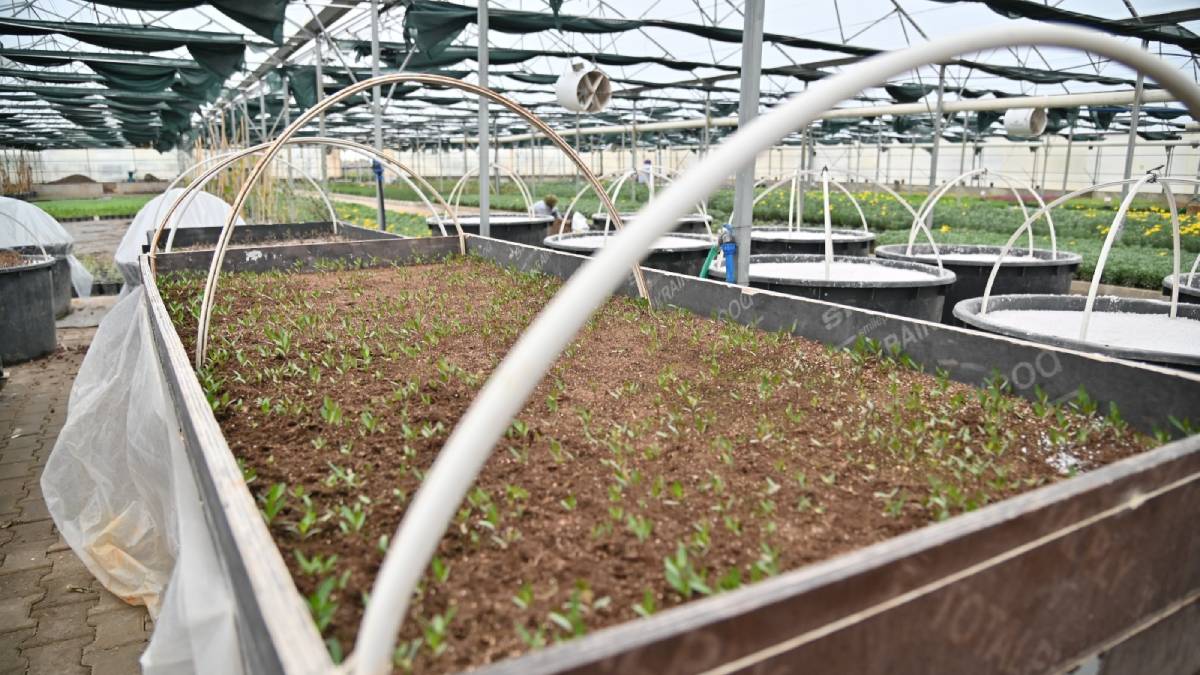 Büyükşehir, Manisa’nın suyunu korumak için çalışıyor