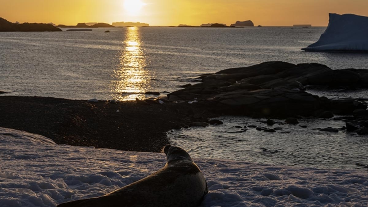 Küresel ısınma tehdidi büyüyor: İklim değişikliği 2024'te dünyayı etkisi altına aldı