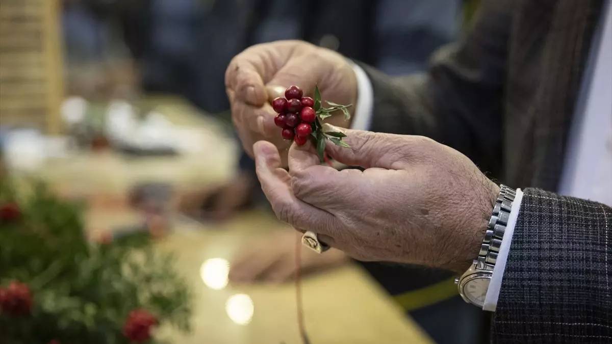 Mutluluk çiçeği olarak anılıyor! 1 yıl soldurmadan bakan ev sahibi oluyor! Yalnızca yılbaşında bulunuyor