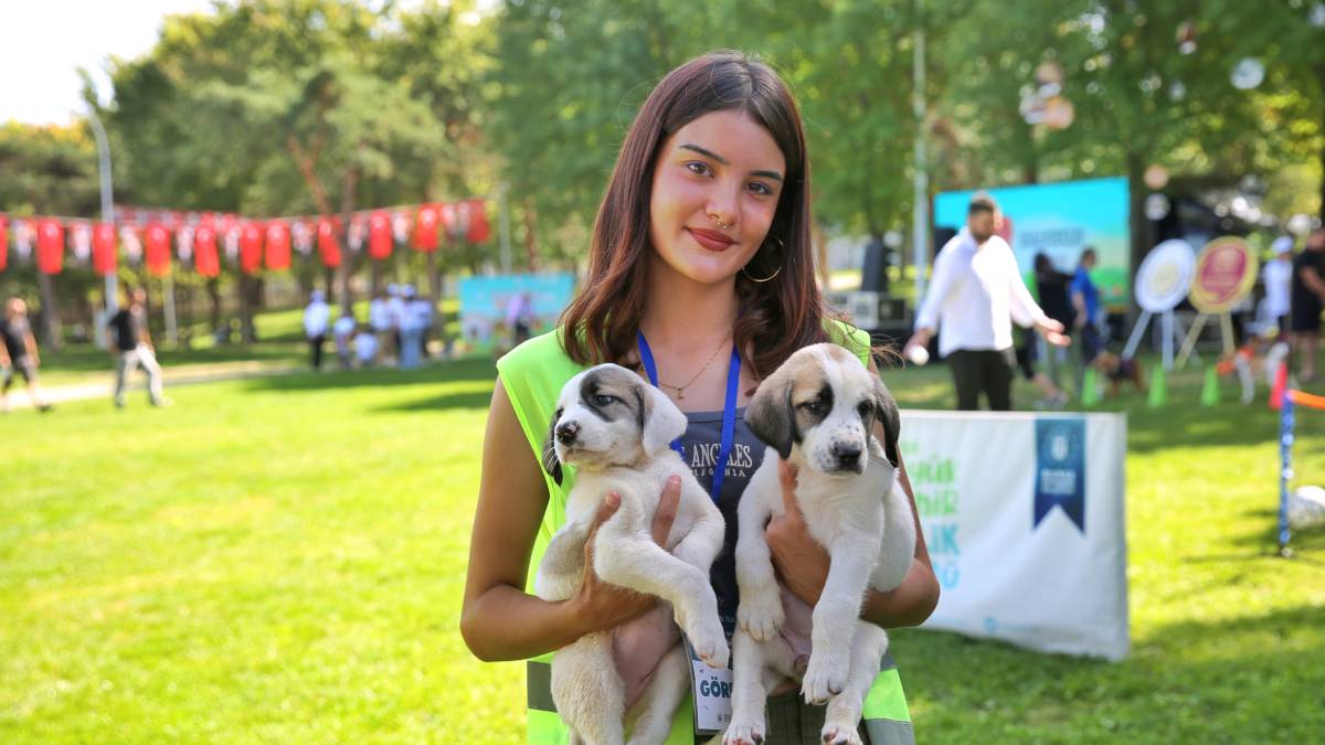 Bursa Büyükşehir’den can dostlara şefkat
