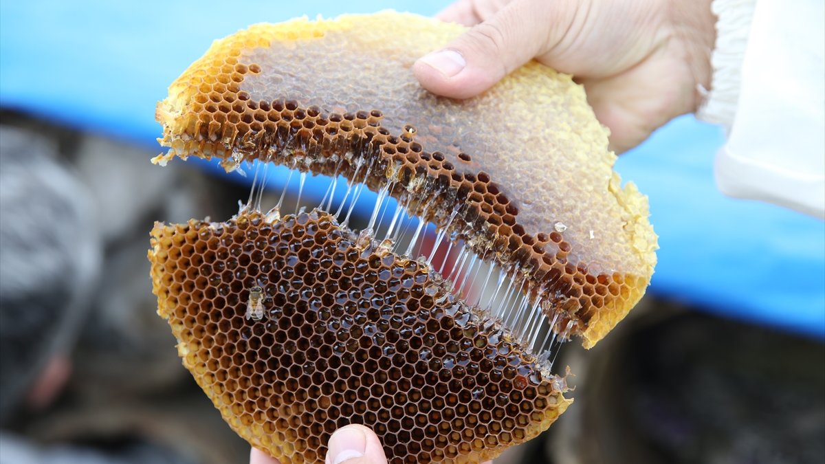 Bakanlık ifşaya devam ediyor: 11 bal markası taklit ve tağşiş listesinde