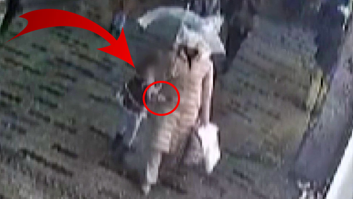 Telefonunuzu paltonuzun cebine koymayın: Böyle çalıyorlar! 10 yaşındaki çocuğun suç kaydı hayrete düşürdü