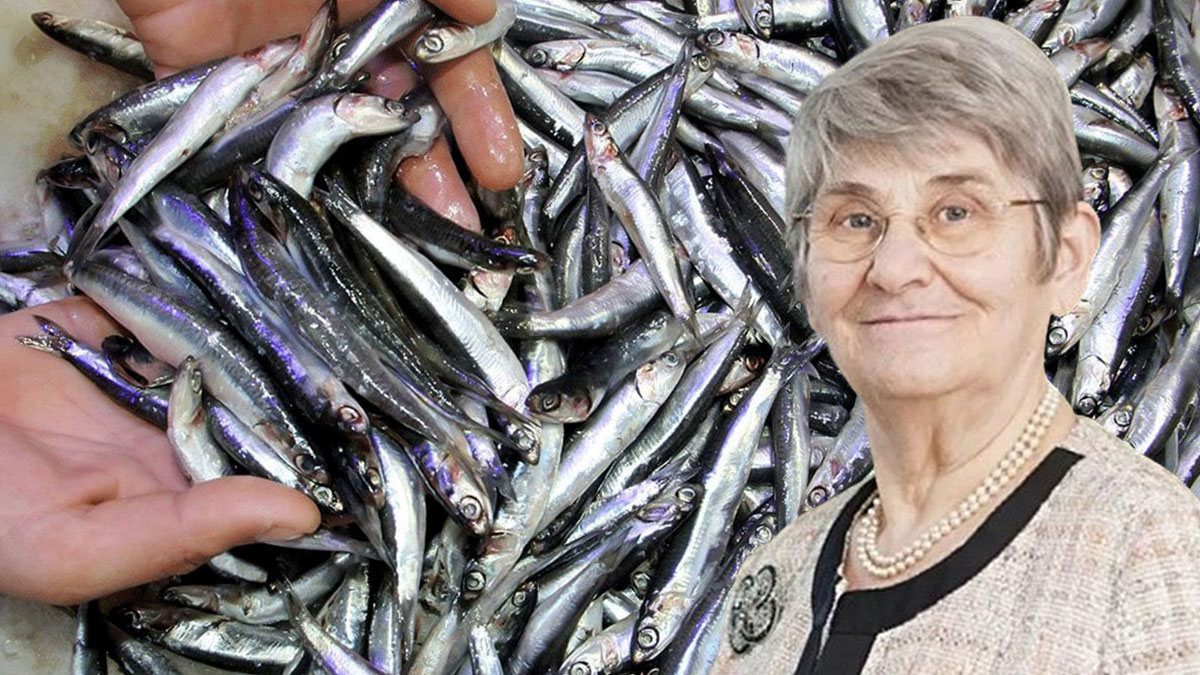 Aldığınız balığı su dolu kaseye koyun, böyle olursa derhal çöpe atın! Prof. Dr. Canan Karatay'dan taze balığı anlama yöntemi