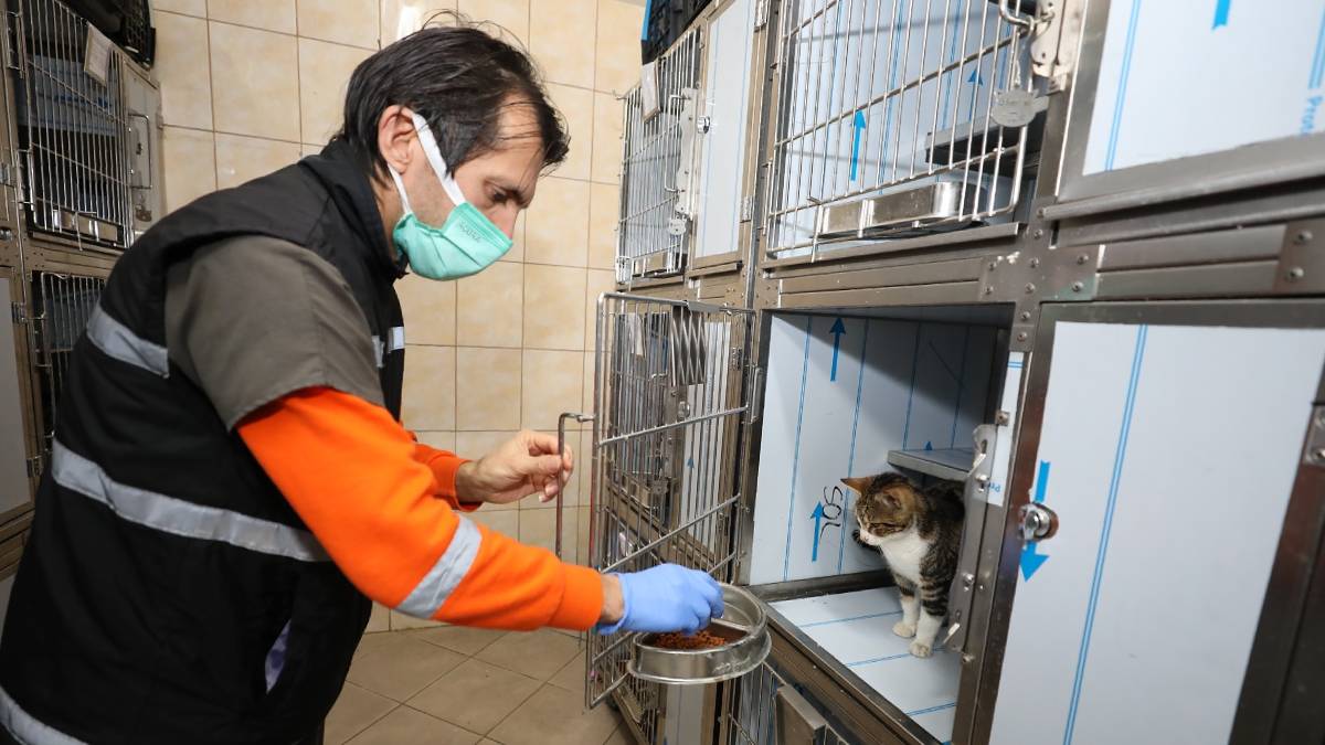 Gaziemir Belediyesinden 6 bin 222 can dosta şefkat eli