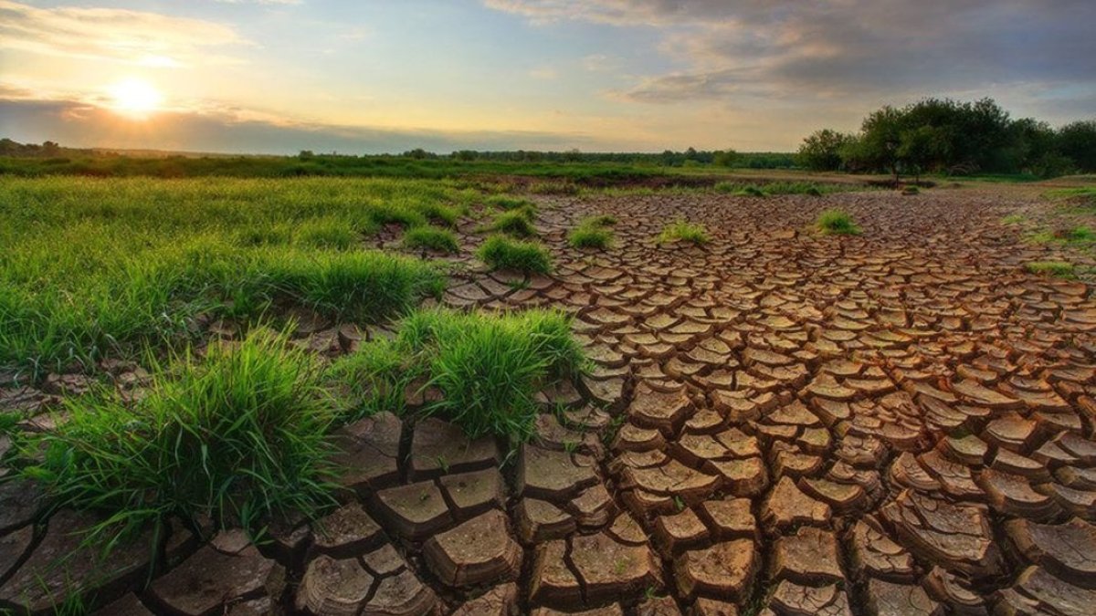 Prof. Dr. Murat Türkeş: Türkiye, yeniden kurak döneme girecek