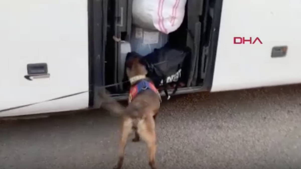 Yolcu otobüsünde 14 kilo esrar! 2 kişi gözaltında