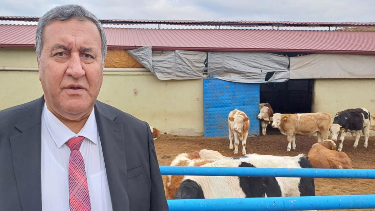 CHP'li Gürer: Tarımda düşük desteklerle et, süt, sebze ucuzlamaz