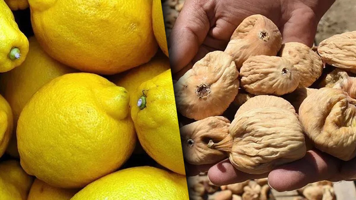 İhraç edilen ürünler gümrükte yine damga yedi: Pestisit, salmonella, aflatoksin...