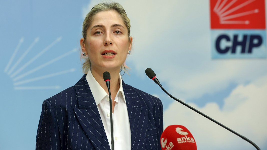 CHP Genel Başkan Yardımcısı Gülşah Deniz Atalar: Yunus Emre Enstitüsü’ndeki yolsuzluklar dudak uçuklatıyor