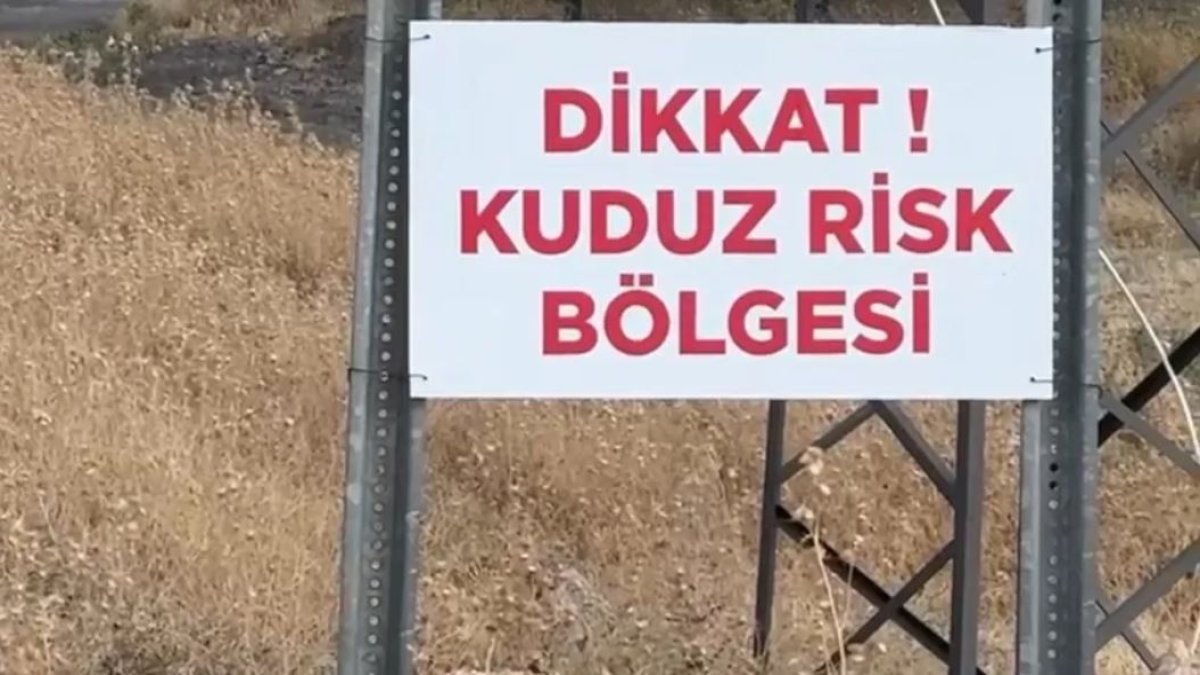 Hatay'da bir mahalle kuduz nedeniyle karantinada
