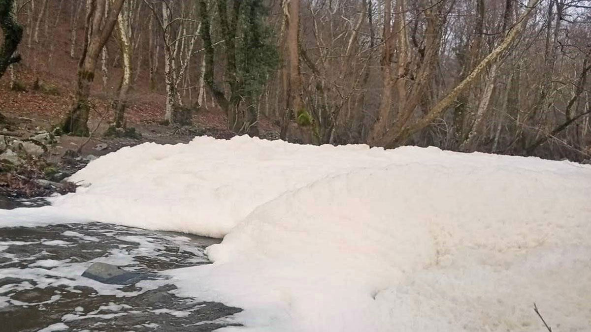 O kentte korkutan manzara: Vatandaşlar pis kokudan duramıyor! İnsanoğlu çevreyi kirletmeye doymuyor