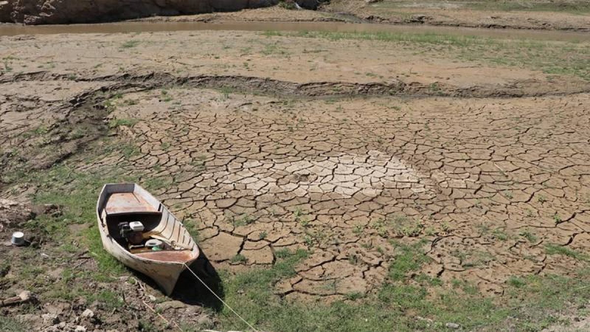 Dünya 2024'te en sıcak yılı yaşadı