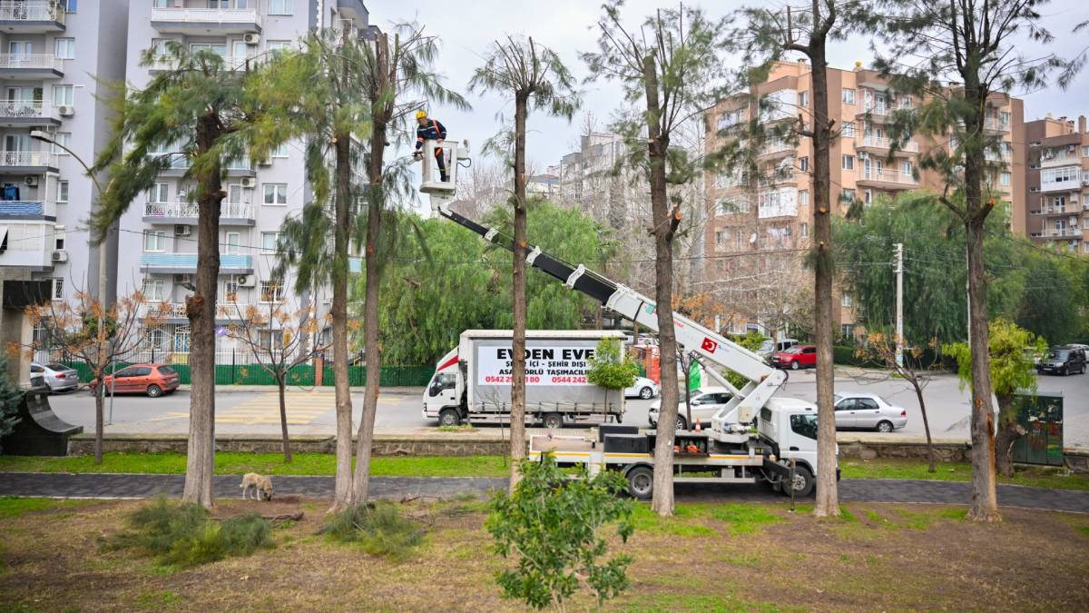 Bornova’da kışa hazırlık başladı