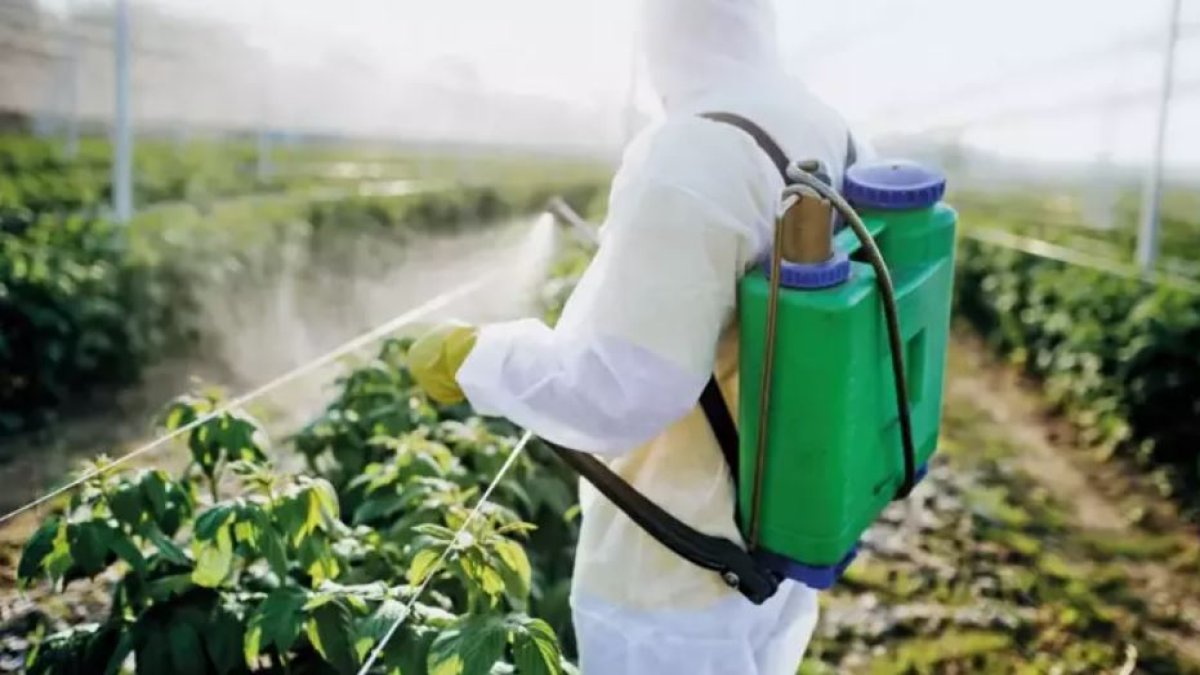Tarım ürünlerinde ilaç tehlikesi! Bakanlıktan pestisitlere AB standardı