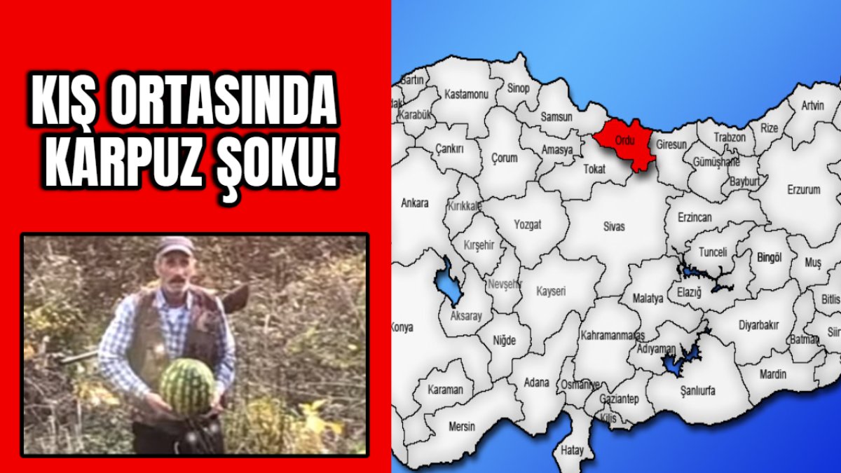 Kış ortasında karpuz şoku! Ordu'da ormanda rastlanan manzara ağızları açık bıraktı