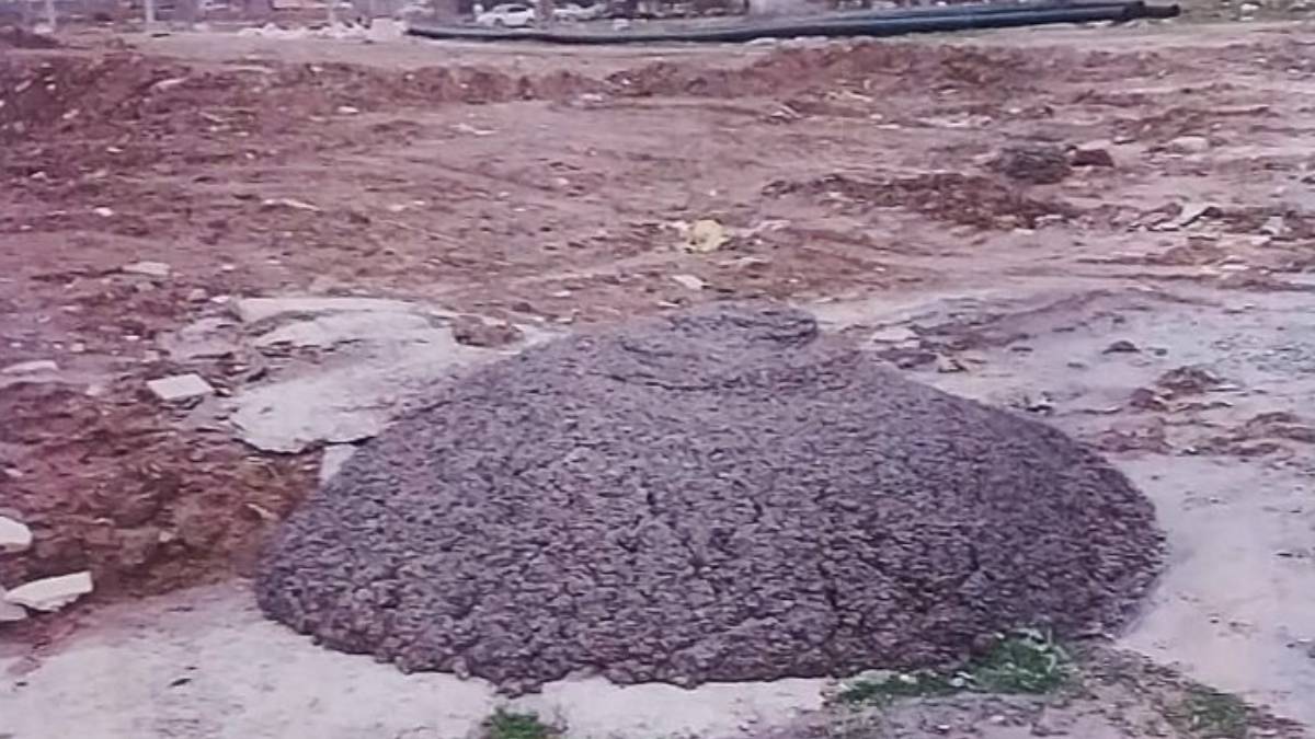 Efeler’in ekipleri çevreyi kirletenlere göz açtırmıyor