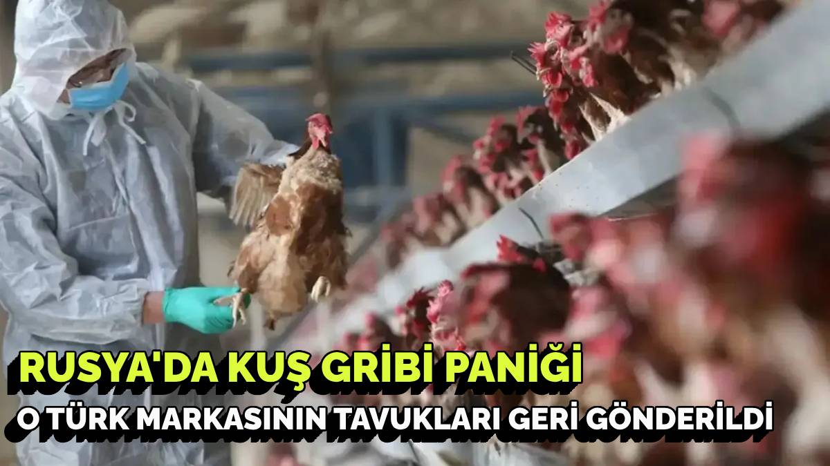 Rusya, kuş gribi nedeniyle o Türk markasını yasakladı! Ünlü markadan tavuk alanlar dikkat