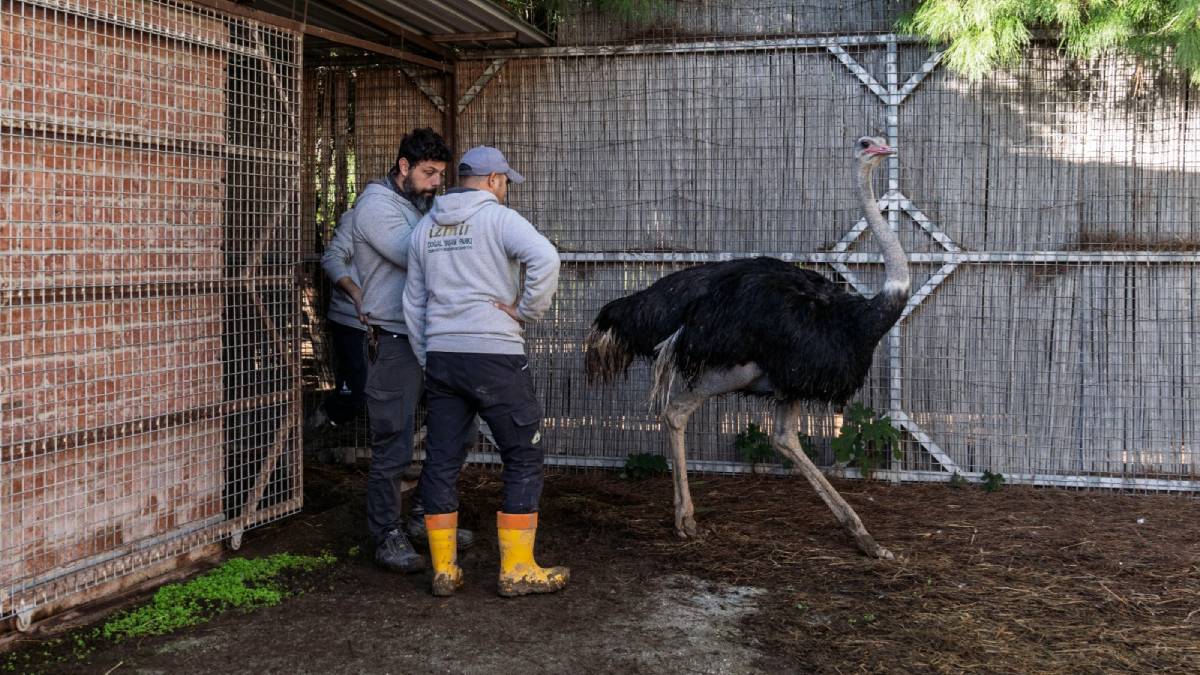 Doğal Yaşam Parkı’nda hedef 1 milyon ziyaretçi