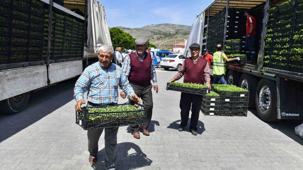 Kırsal Hizmetler Daire Başkanlığı 2024 faaliyet raporunu açıkladı