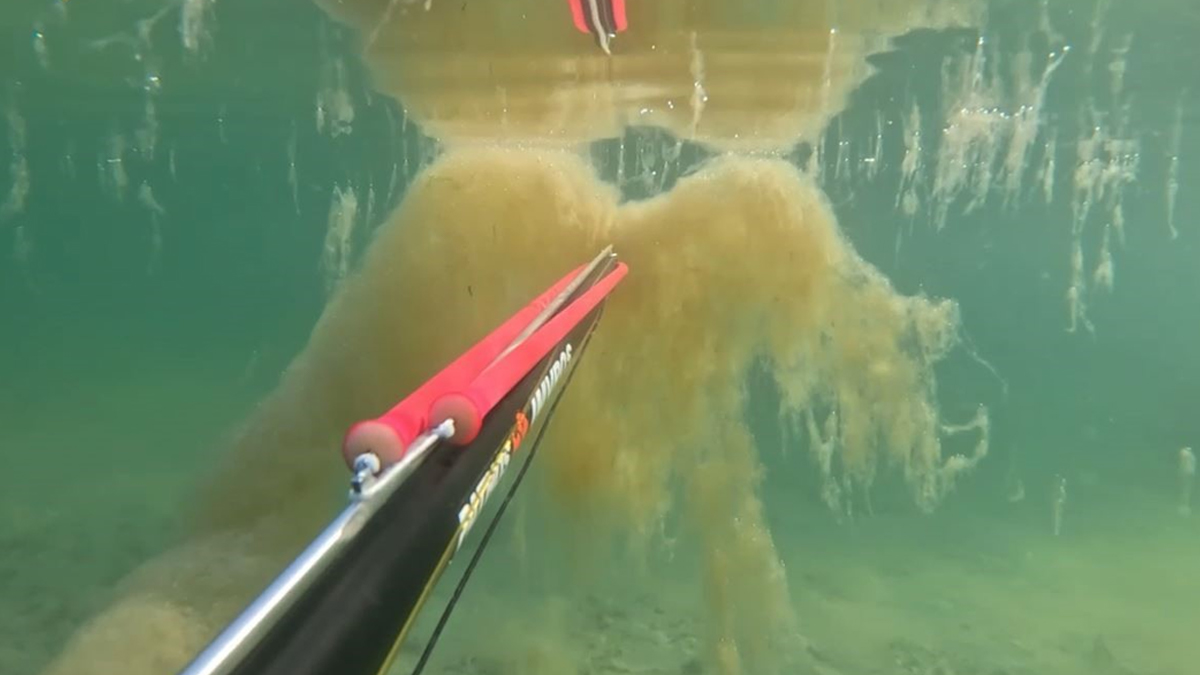 Müsilaja karşı bakanlıktan yoğun denetim: 7 binden fazla işletmeye 2 milyar lira ceza verildi, 403 tesis faaliyetten men edildi