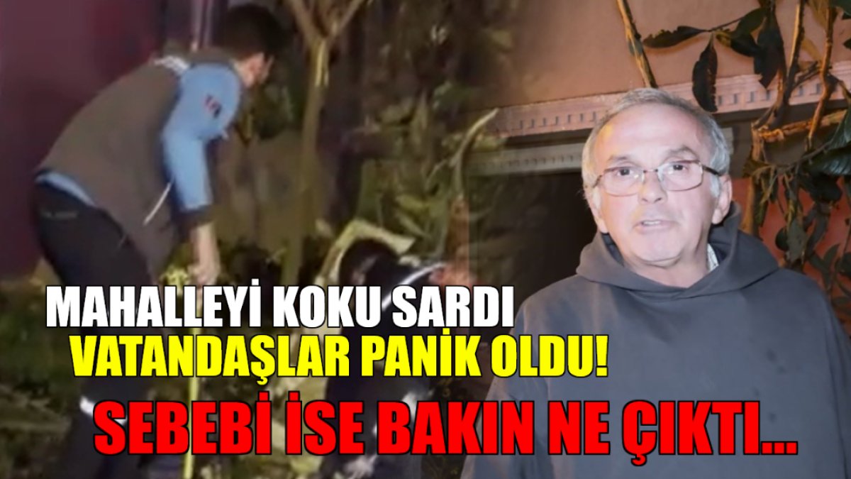 Mahalleyi koku sardı, vatandaş ise panik oldu! Sebebi ise bakın ne çıktı...