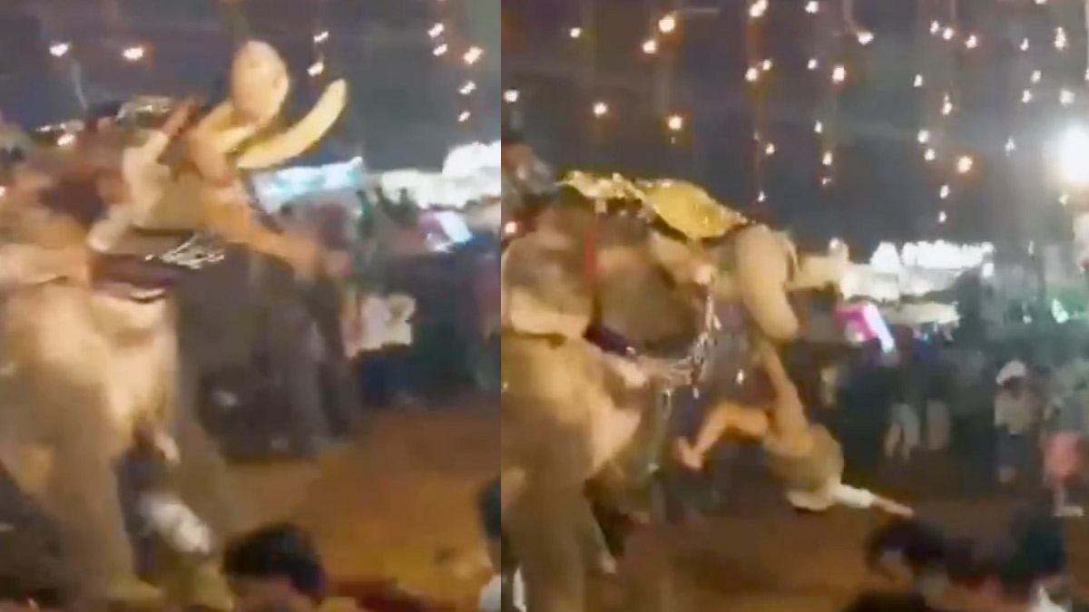 Tapınaktaki görüntüler dehşete düşürdü! Hindistan’da öfkeli fil biri ağır, 17 kişiyi yaraladı