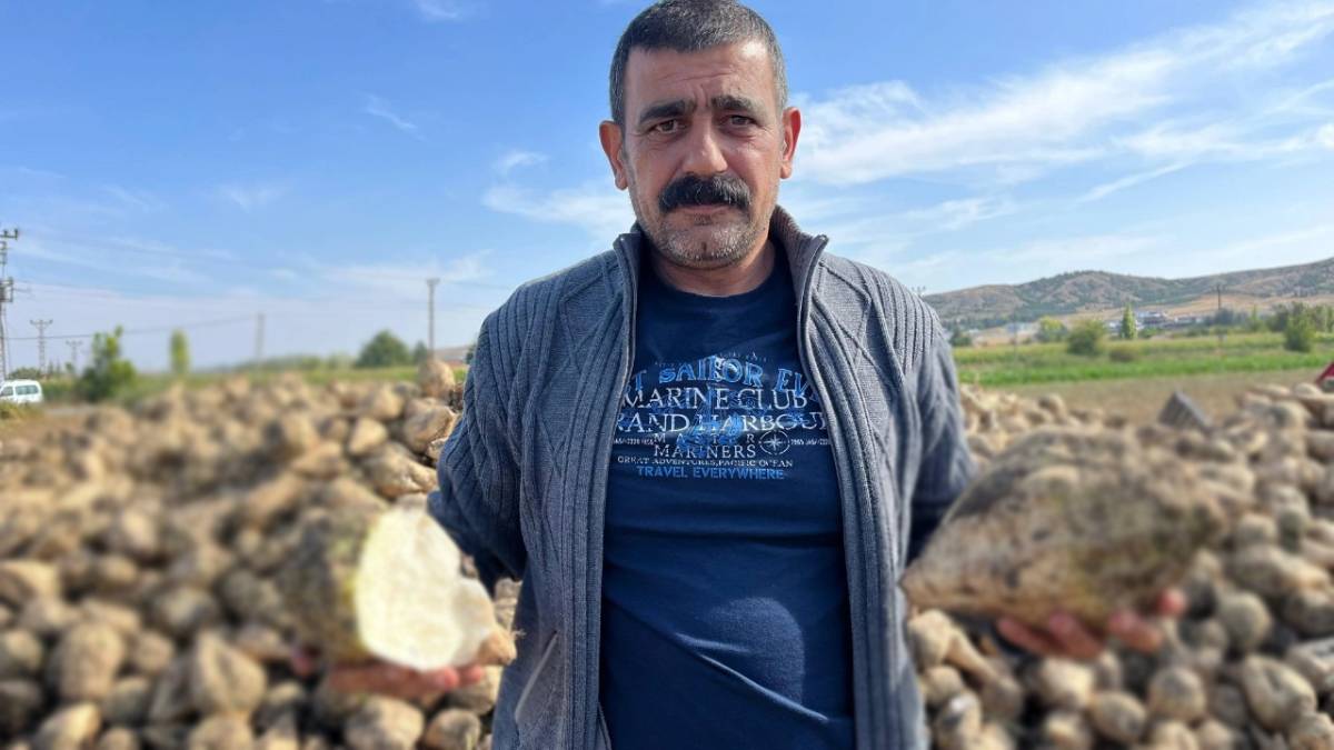 Gece gündüz durmaksızın çalışılıyor! Kar gelmeden tüm hasat toplanıyor, üretici en verimli dönemini yaşıyor