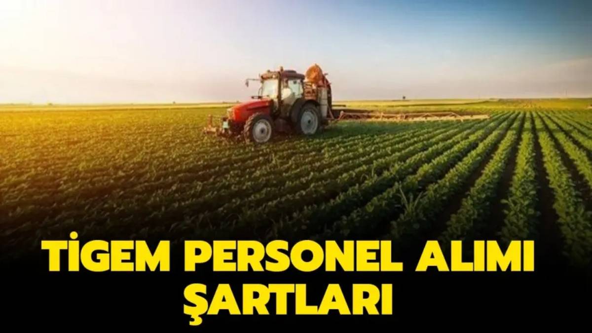TİGEM ziraat mühendisleri alacak! Personel alım ilanları yayımlandı, son tarihi kaçırmayın