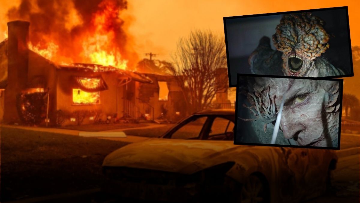 Zombi mantar salgını gerçek mi oluyor? Kaliforniya'daki yangınlar izlenme rekorları kıran filmi gerçek yapabilir