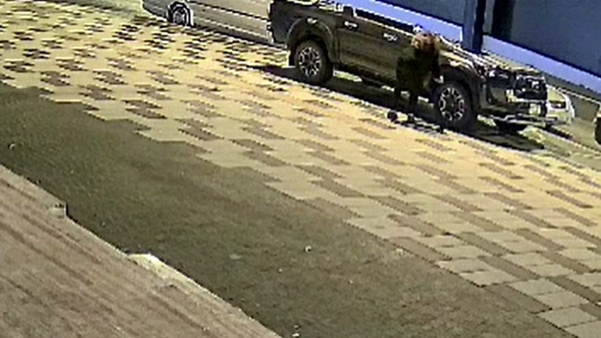 Muğla'da akılalmaz olay! Bir kadın, 9 aracın lastiklerini kesti