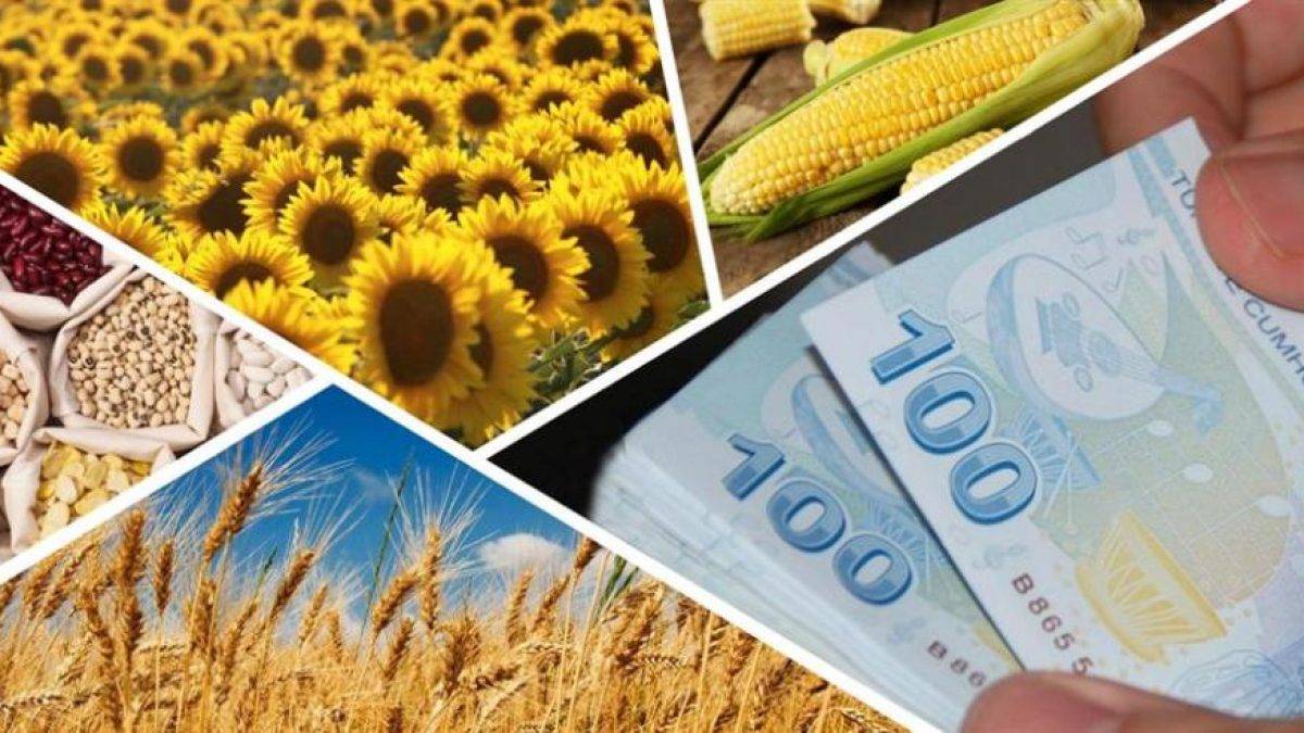 Üreticilere büyük kolaylık! Herkes alacağı destek miktarını internetten hesaplayacak