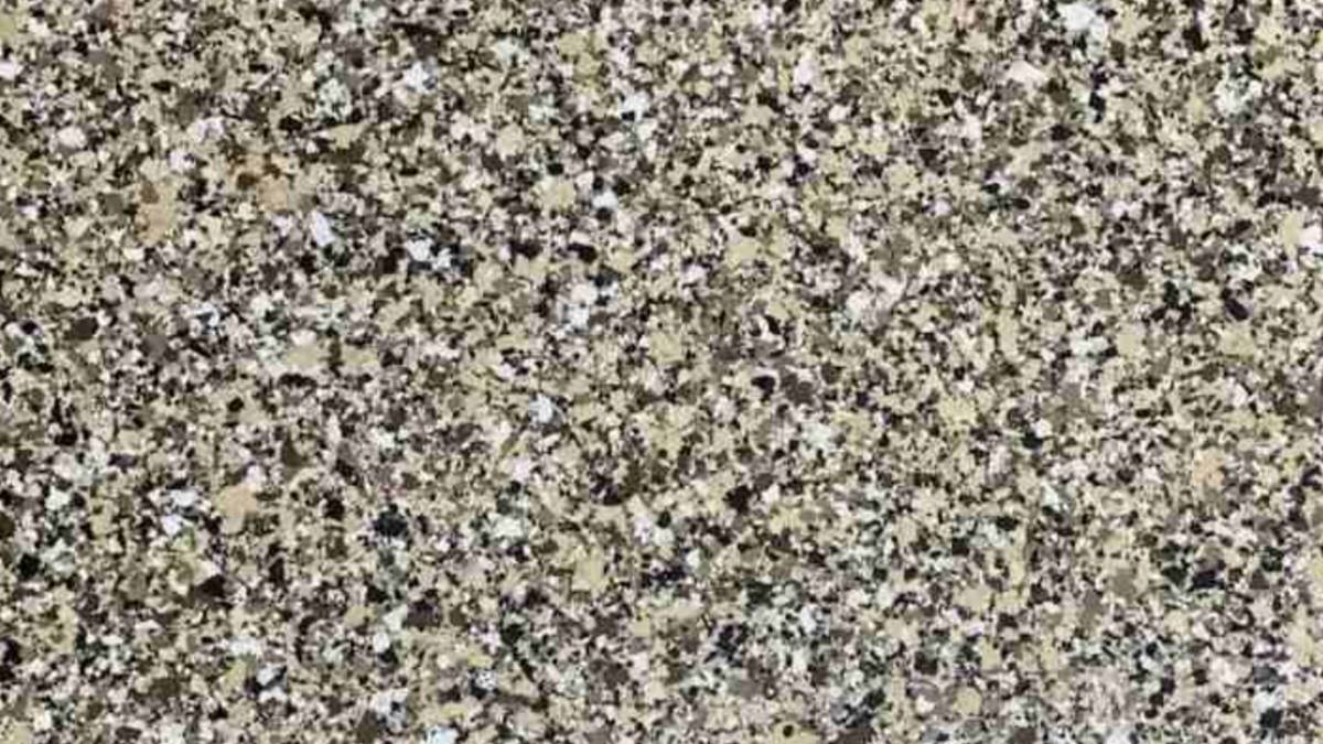 Gizli dâhileri ortaya çıkaran test! Denemeyen pişman olur! 9 saniyede gizli zarı bulan hayatının dönüm noktasını yaşıyor