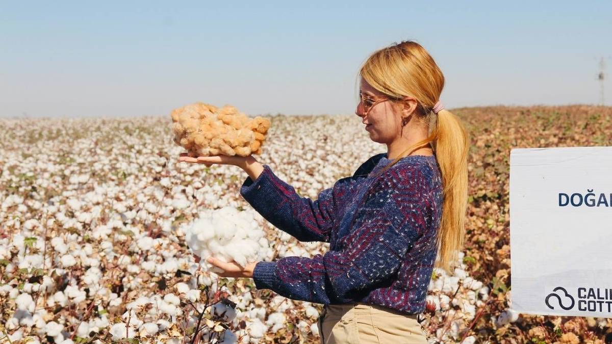 Denemek için ekildi rengi herkesi şaşırttı! Herkes sadece beyaz zannediyordu… Renkli üründe ilk hasat tamamlandı