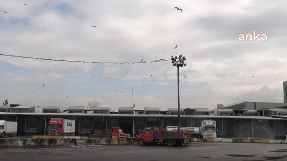 Nakliyecilerden son gelen zamlara tepki: Gerekirse kontak kapatırız