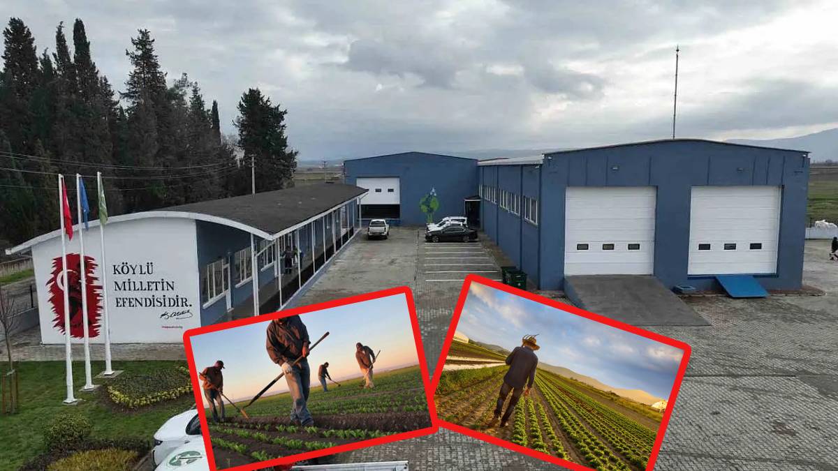 Türkiye’nin örnek tesisi oldu! O belediyeden çiftçiye tam destek! Hizmete açıldı: Büyük küçük tüm çiftçi kullanabilecek