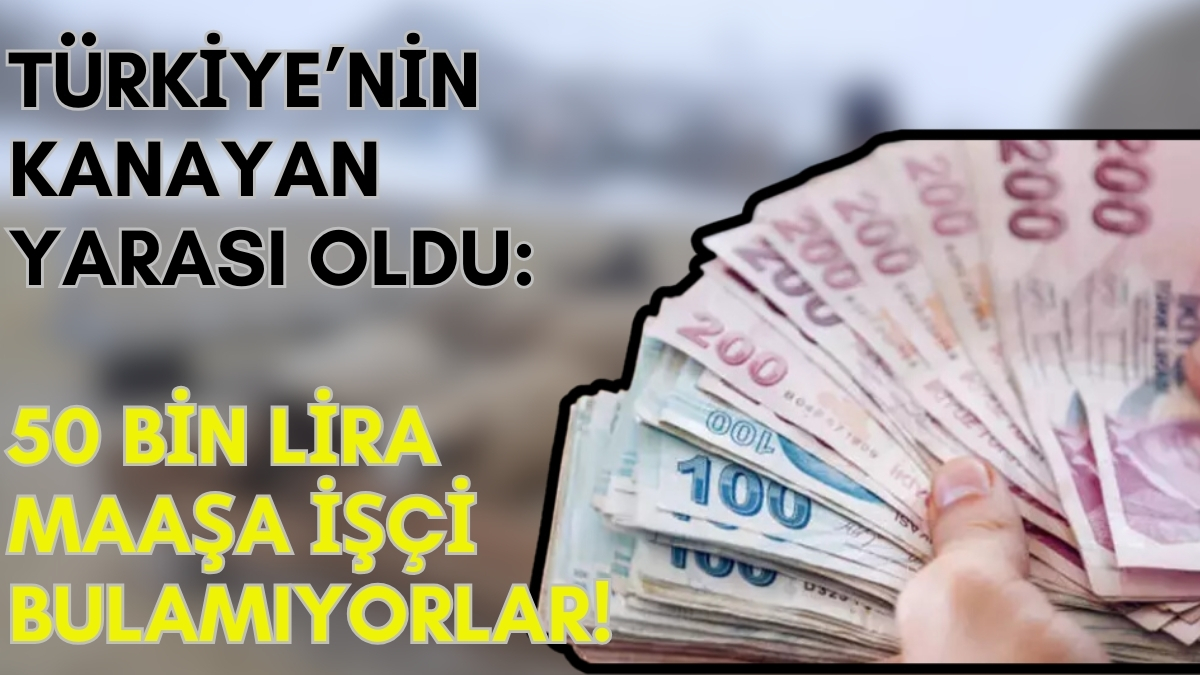 Maaşları rekor kırıyor ama çalışan yok! Aylık 50 bin lirayı buluyor... Patronlar bu işi bileni havada kapıyorlar