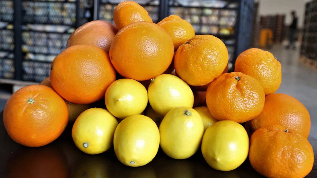 Ne portakal ne mandalina! Kışın hastalıksavar meyvesi buymuş, kabuğuyla bile yeniliyor