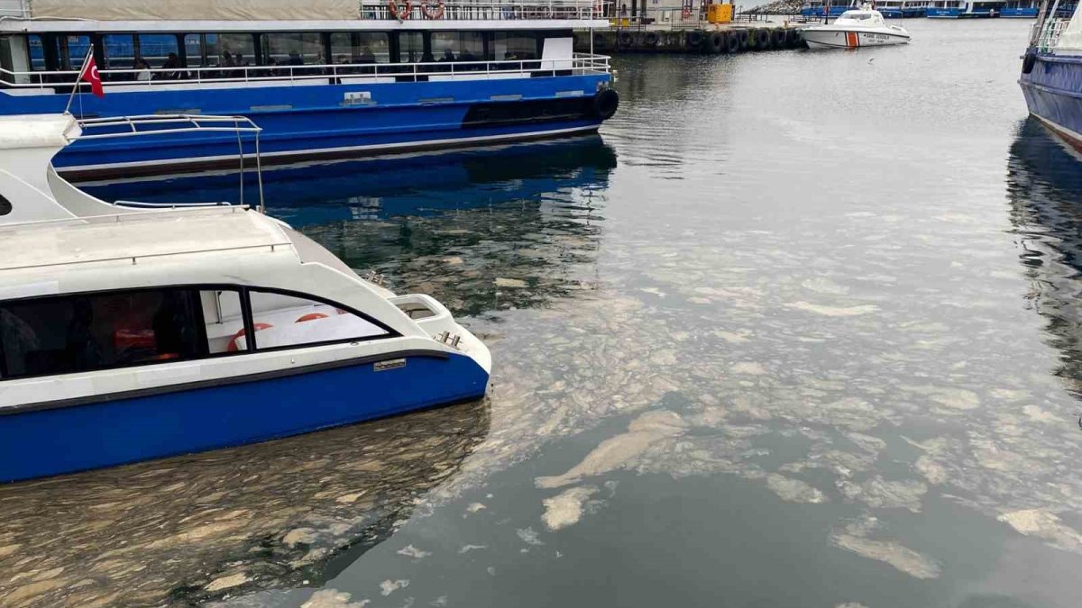 Kadıköy'de korkutan görüntü! Müsilaj kıyıya kadar vurdu