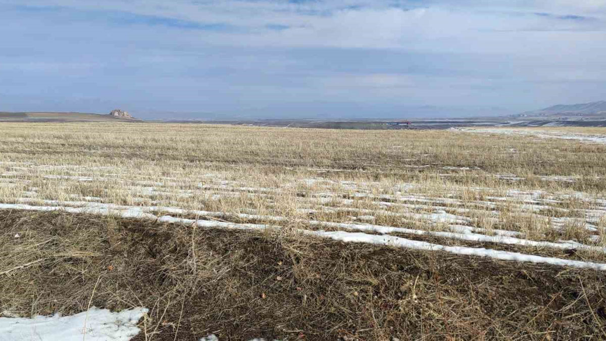 Van Gölü havzasında kuraklık alarmı